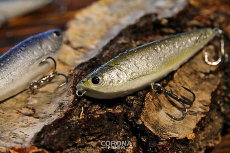 woblery TM na bolenia